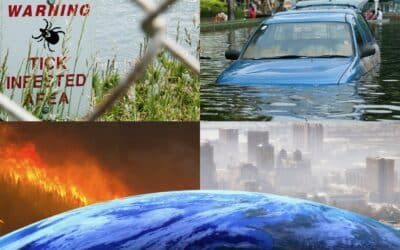 Photo montage of climate change with the earth.