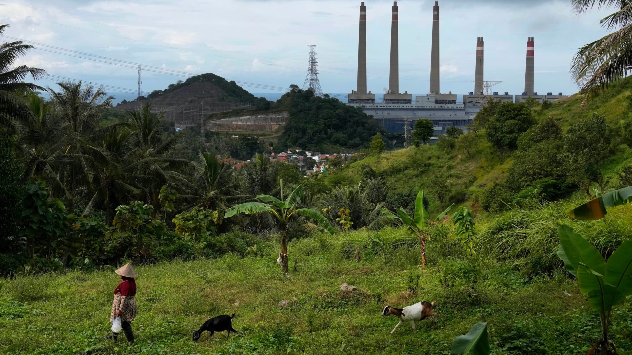 A woman leads her goats as Suralaya coal power plant looms in the background in Cilegon, Indonesia