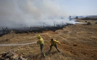 Europe caught napping on climate change as heatwaves spread 900x600