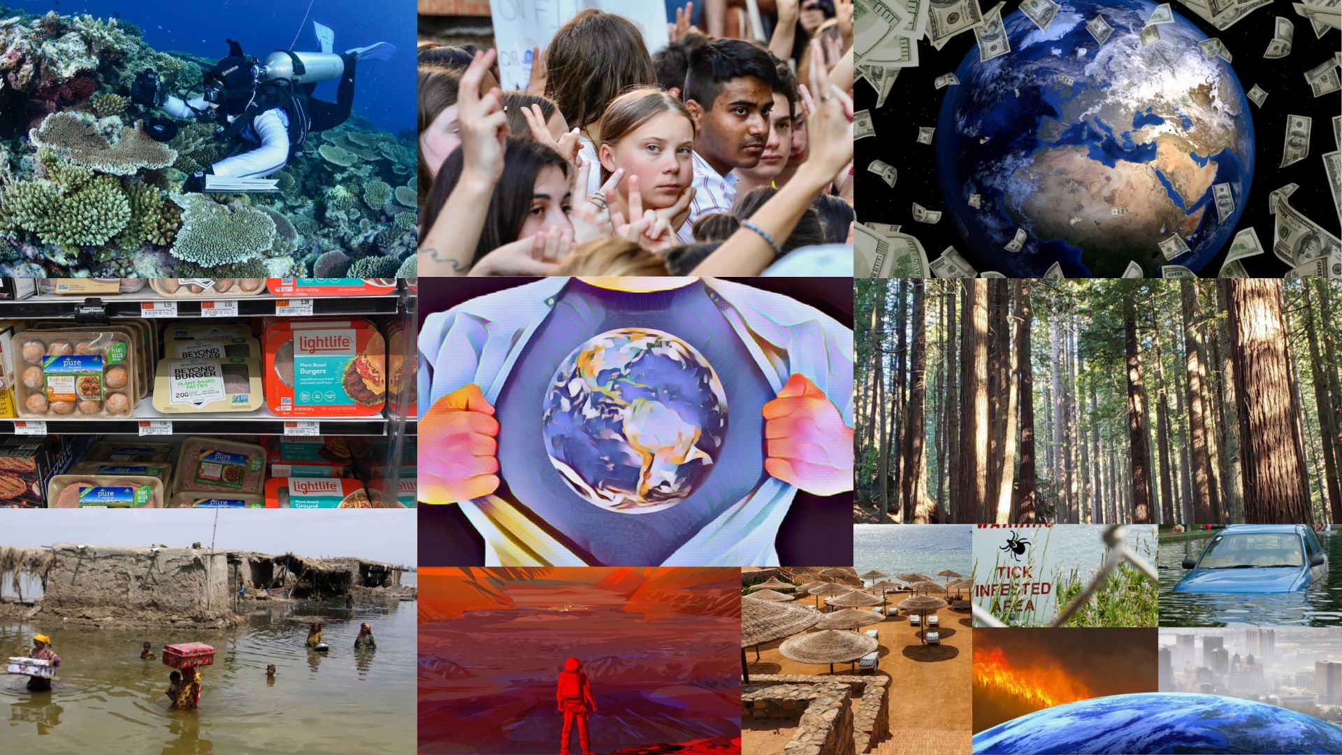 A collage of photos from News Decoder's Climate Decoders series.