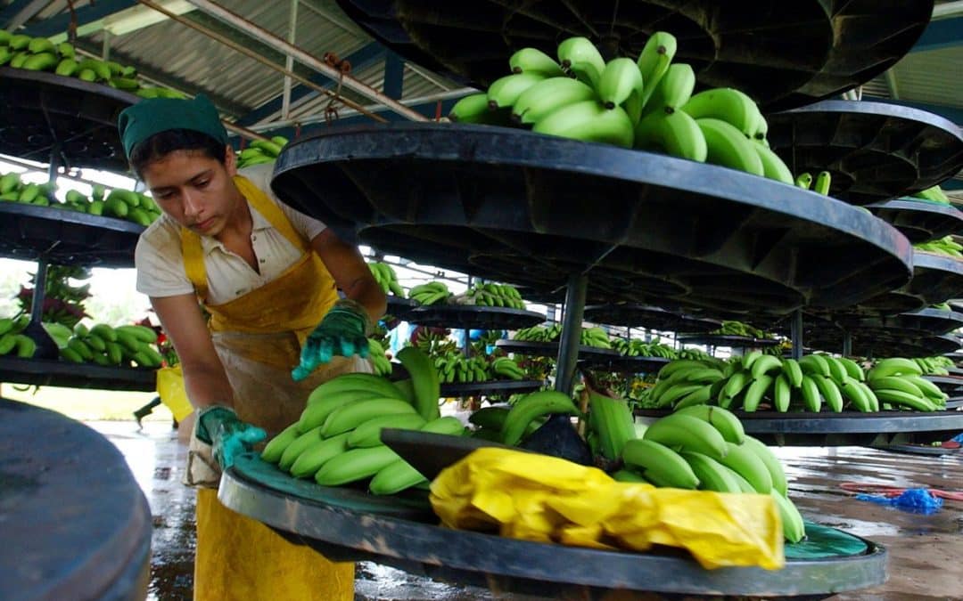 Why eating local is a controversial way to fight climate change