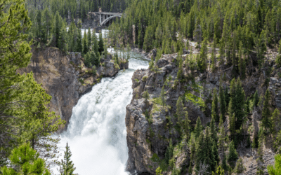 Yellowstone Falls